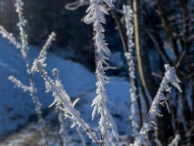 00007_Winterwanderung-Sulzberg_14.-Jaenner-2024