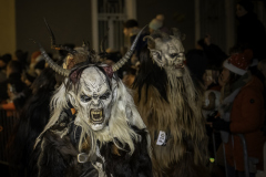 01151_Krampuslauf-Bregenz-2024__Klemens-Sohler_23.-November-2024_@Fototeam-Digital-2024