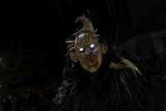 01184_Krampuslauf-Bregenz-2024__Mario-Stecher_23.-November-2024_@Fototeam-Digital-2024