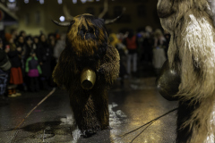 01294_Krampuslauf-Bregenz-2024__Mario-Stecher_23.-November-2024_@Fototeam-Digital-2024