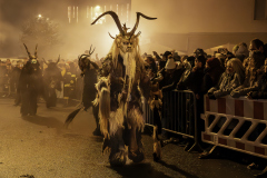 01354_Krampuslauf-Bregenz-2024__Annemarie-Maldoner_23.-November-2024_@Fototeam-Digital-2024