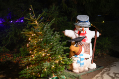 00741_Christmas-Garden-Insel-Mainau_Kurt-Lachner_28.-Dezember-2024@Fototeam-Digital-2024