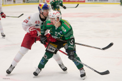 Eishockey_20221203_RGZ3220_LK2000_RG