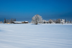 098_Winterlandschaft_Franz.Errath.jpg