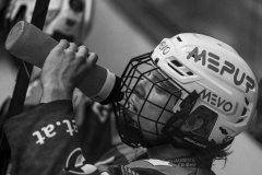 028_EishockeyDSC0830_Wernfried