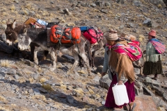 Bolivien_-_Transport