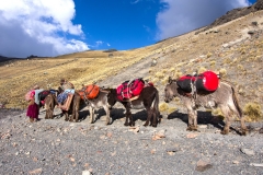 Bolivien_-_Transport2